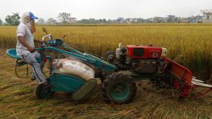 झापाको अर्जुनधारा मिलडाँडामा मेसिनले धान काट्दै स्थानीय कृषक