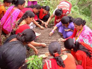 सिंचित क्षेत्रलाई महत्व दिए कृषिमा आत्मनिर्भर बन्न सकिन्छ