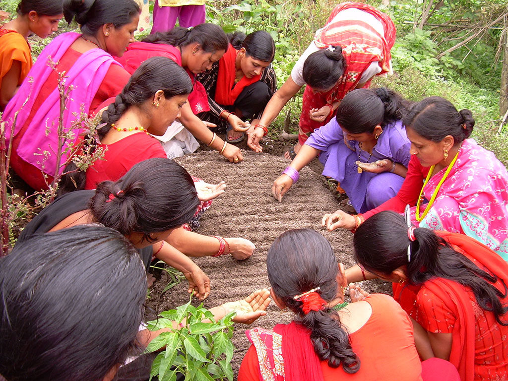 सिंचित क्षेत्रलाई महत्व दिए कृषिमा आत्मनिर्भर बन्न सकिन्छ