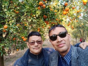 कृषि ज्ञान केन्द्र पर्वत का प्रमुख बासुदेब रेग्मी संगै  बासर्खकको सुन्तला अबलोकन र्गर्दै।।