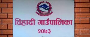 बिधुत को उच्च जोखिम हटाउदै काठका विद्युत पोल विस्थापीत गर्दै विहादी गाउँपालिका