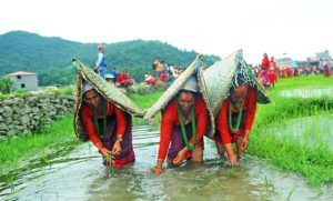 साउन सकिनै लाग्दा पनि पर्वतमा प्रयाप्त वर्षा नहुँदा आधा खेत बाझै
