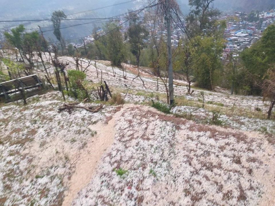वर्षासँगै शुक्रवार दिउँसो परेको भिषण असिना पानीका कारण पर्वतको वालीनालीमा क्षति