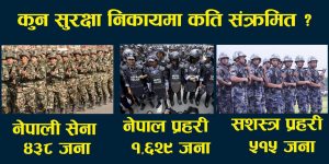 सुरक्षाकर्मीमाथि ‘कोरोना अट्याक’ : २ हजार ५ सय भन्दा बढी संक्रमित, कसरी फैलियो संक्रमण ?