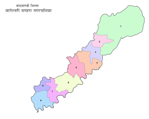नेकपाका मेयरसहित भूमाफियाको चलखेलमा विद्यालय नै स्थानान्तरण