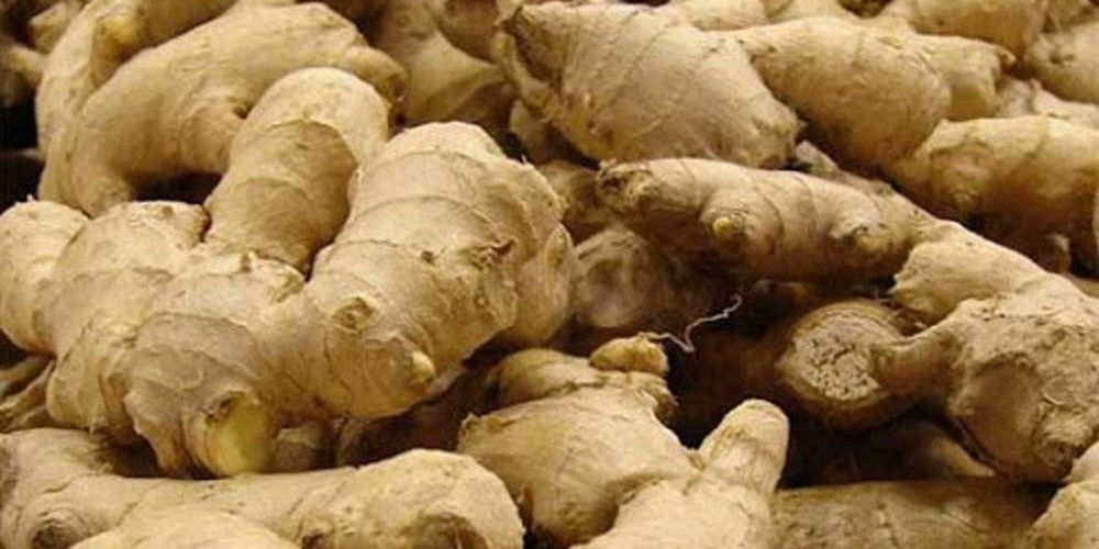 अदुवा खाँदा कोरोना लाग्दैन? यस्तो छ विज्ञको तर्क (भिडियो सन्देश)