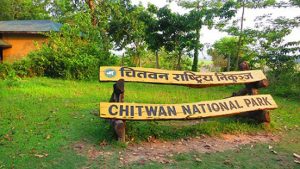 चितवन निकुञ्जको खुला खोरमा राखिएको अर्नाले जन्मायो बच्चा