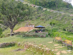 पर्यटन पर्वद्धनमा सहयोग पु¥याउन मेला आयोजना