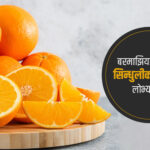 जुनार : राजमार्गको रसिलो कोसेली