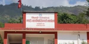 प्रविधिमैत्री बन्दै बिहादीका स्वास्थ्य संस्था