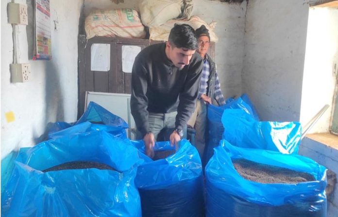 बाझाे बारी जोतेर कोदो फलायो कुश्मा नगरपालिकाले