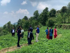 माेदि गाउँपालिकाले सुरू गर्याे प्रधान मन्त्री रोजगार कार्यक्रमको नयाँ पहल