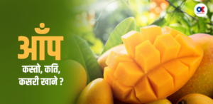 कुन आँप सबैभन्दा मिठो ? कसरी रोज्ने
